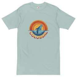 Men’s premium heavyweight tee - COLO