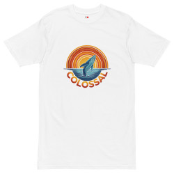 Men’s premium heavyweight tee - COLO